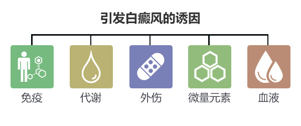 成人白癜风的诱发因素